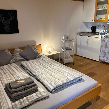 Sonnenuntergang Apartman Traunstein Kültér fotó